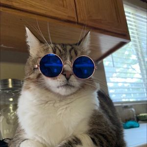 Meet your Posher, Fabiola